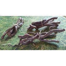 Korkenzieher-Zweige, ca. 20 - 30 cm lang - 5er Pack